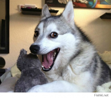 От улыбки хмурый день светлей