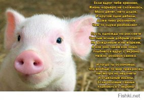 От улыбки хмурый день светлей