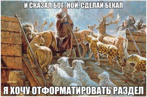 Невероятные права, полученные женщинами за последние годы