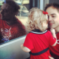 Кошки, над окрасом которых природа постаралась