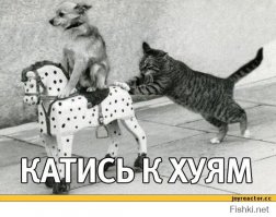 а после всего этого: