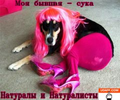 Подборка демотиваторов