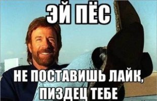 Любопытные факты о Техасе и техасцах