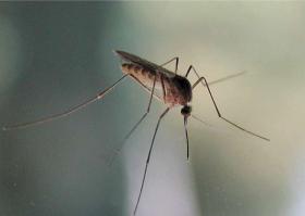 Вот что меня щас пугает.