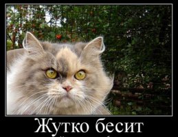 Блин, ребят ну всё в посте зае.ись...
 Но что бл.тскакя тема пошла делать описание под картинкой. Ну постоянно сбивает. Мотаем же сверху вниз, ну и пишите описание выше, чтоб сначала прочёл потом рассмотрел. А то всё время читаешь комменты не от той картинки!