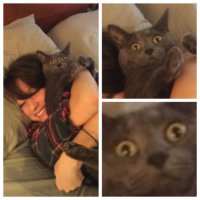 Смотрю на фото и слышу в башке звук это ужаса ту-ту-тууууу(на трубе) )))