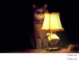 Котомем, кто таков