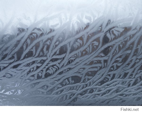 Окошко в подъезде. Сегодня утром. Тоже никакого фотошопа.