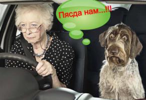 Девушки и авто