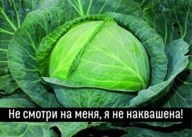 Фишкина солянка за 04.11.2014