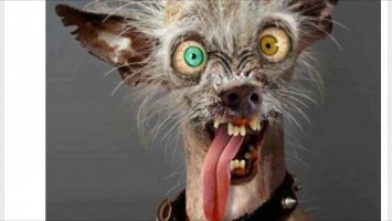 Главное, что пиндосы на луне побывали!!!!