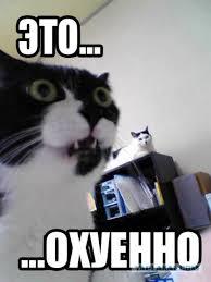 Домик для мамы и её котёнка