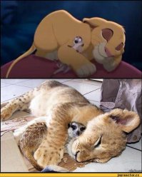 Приемные родители бывают разными