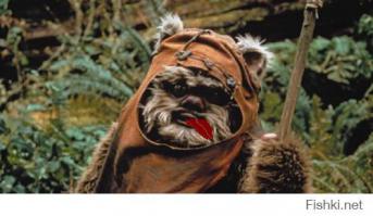 Ну в целом да, похож