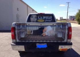 Креативные надписи на автомобилях