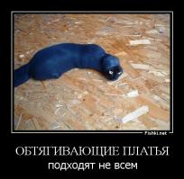 Девушки в обтягивающих платьях