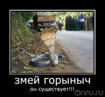 Самые самые ....змеи