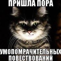 Выигрывает та, у которой быстрее от газов встал...