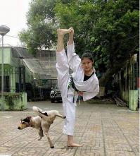 Фишкина солянка за 22.10.2014