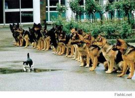 Кто бы говорил...