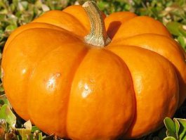 и она меня убъёт)))