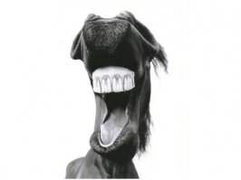 начинают бесить посты "за Россию" на ресурсе, куда заходишь ржать аки коньнь! идите на новости!