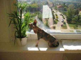 19 людей, которые забыли как устроены зеркала 