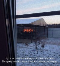 Фотоподборка за 12.12.2014