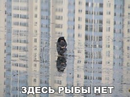 Минимализм в фото