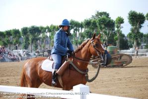 Последние дни