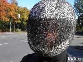 V-ROD Harley-Davidson