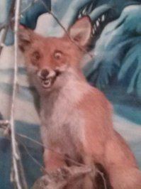 Краеведческий музей города Усть-Катав (там вагоны для трамваев делают ;))