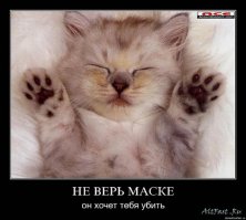 Пойманы на месте преступления