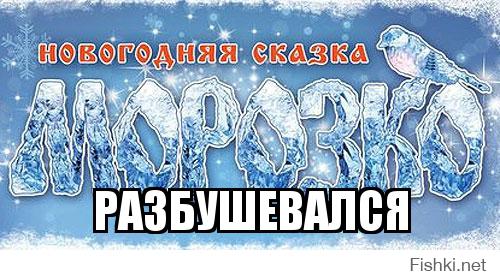 Если вы увидите нечто подобное — бегите без оглядки