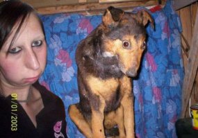 Извините, не удержался