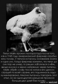 Доблесть выше смерти — 32 шага без головы