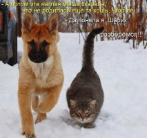 Я думаю, тебе нужна моя помощь!