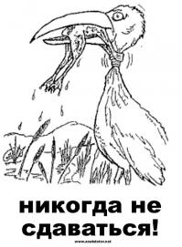 Спасение бурундучка от лягушки