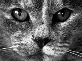 вот моя любимая фотка!!!