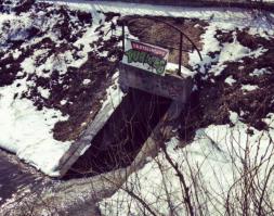 Так вот где они обитают?!