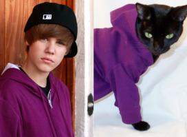 Забавные совпадения