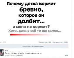 Смешные комментарии из социальных сетей 26.10.14