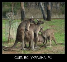 Прикольные русские демотиваторы