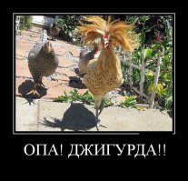 Просто смешные картинки с подписями