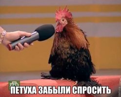 Из писем гитлеровского солдата Эриха Отта, отправленных из Сталинграда