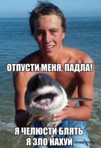 10 самых крупных акул пойманных человеком