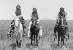 13. Нельзя мочиться на морозе. А чо такой миф есть? Лично я впервые слышу.
1. Про мустангов. Не верю, с х..ра ли они вырождаться и мельчать будут? Это дикие лошади в монголии мелкие, а в америку везли скаковых ломовых и прочих здоровенных коней, а днк распространяюся только от самых сильных жеребцов, они регулярно дерутся за табун. И побеждает самый злой и сильный жеребец. Думая логически я считаю что конь поздоровее имеет все шансы выиграть. Это насчет дергадации. Насчет индейцев, я думаю поедание коней и езда на них друг другу не мешают.