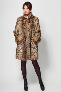 кот клевый тока бабы такого кота с радостью пустят на это