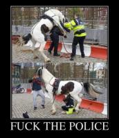 Очередная ошибка американской полиции