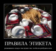 Демотиваторы и просто веселые картинки